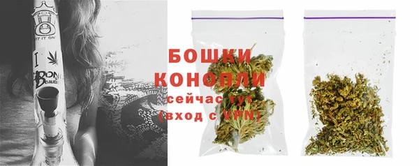 дживик Снежногорск