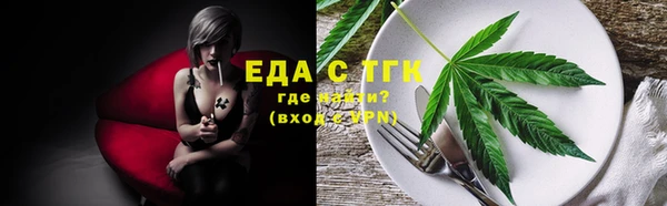 дживик Снежногорск