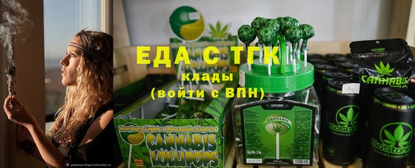 дживик Снежногорск