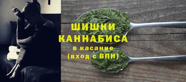 дживик Снежногорск