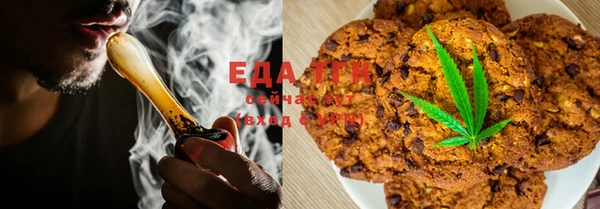 дживик Снежногорск