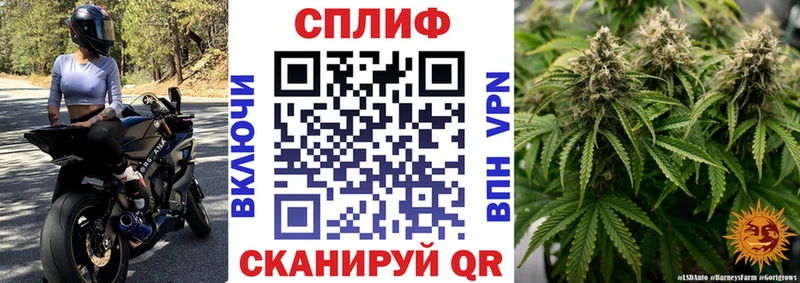 Купить закладки  Суворов  Шишки марихуана ГИДРОПОН 